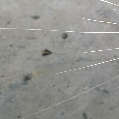 擋風玻璃 裂縫怎麼辦