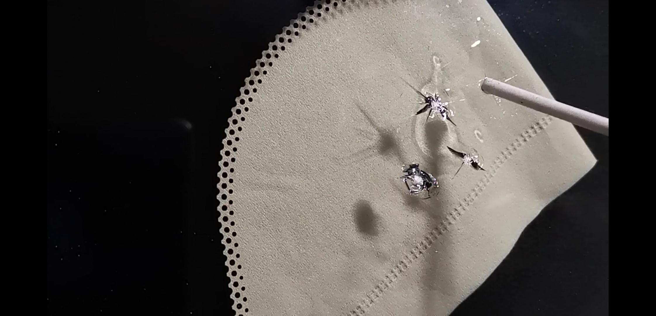 汽車玻璃修複原理